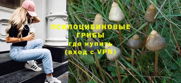 прущая мука Лагань