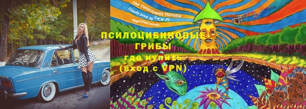 трава Ладушкин