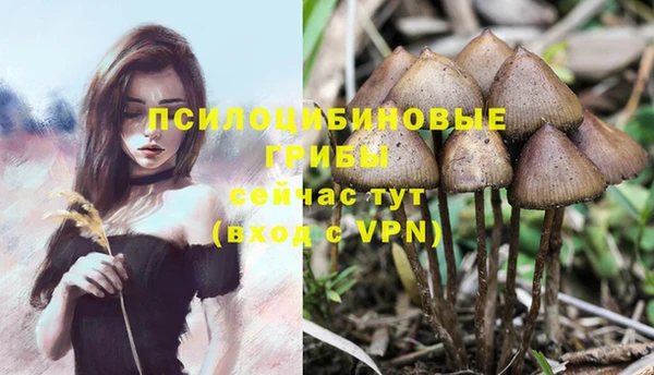трава Ладушкин